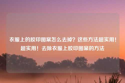衣服上的胶印图案怎么去掉？这些方法超实用！超实用！去除衣服上胶印图案的方法
