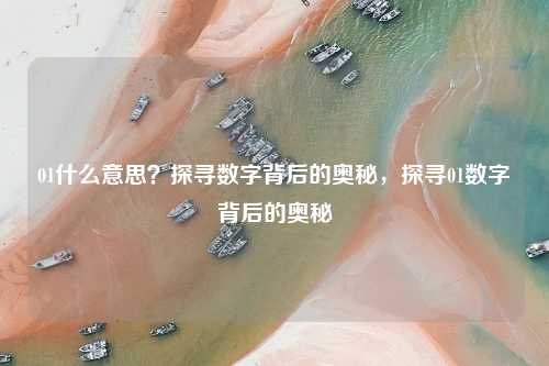01什么意思？探寻数字背后的奥秘，探寻01数字背后的奥秘