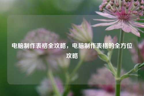 电脑制作表格全攻略，电脑制作表格的全方位攻略