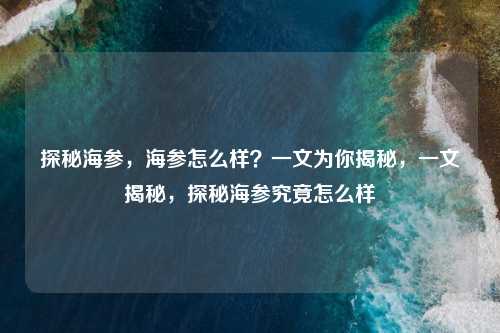 探秘海参，海参怎么样？一文为你揭秘，一文揭秘，探秘海参究竟怎么样
