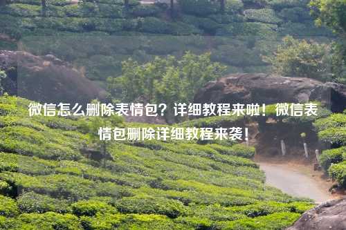 微信怎么删除表情包？详细教程来啦！微信表情包删除详细教程来袭！