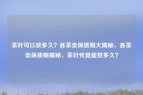 茶叶可以放多久？各茶类保质期大揭秘，各茶类保质期揭秘，茶叶究竟能放多久？