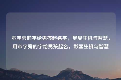 木字旁的字给男孩起名字，尽显生机与智慧，用木字旁的字给男孩起名，彰显生机与智慧