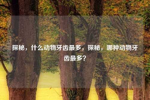 探秘，什么动物牙齿最多，探秘，哪种动物牙齿最多？