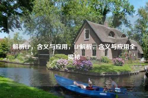 解析LP，含义与应用，LP解析，含义与应用全揭秘