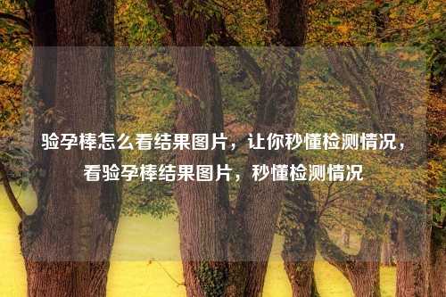 验孕棒怎么看结果图片，让你秒懂检测情况，看验孕棒结果图片，秒懂检测情况