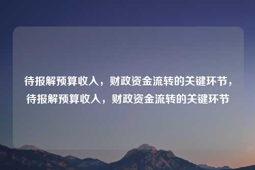 待报解预算收入，财政资金流转的关键环节，待报解预算收入，财政资金流转的关键环节