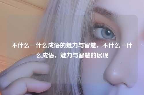 不什么一什么成语的魅力与智慧，不什么一什么成语，魅力与智慧的展现