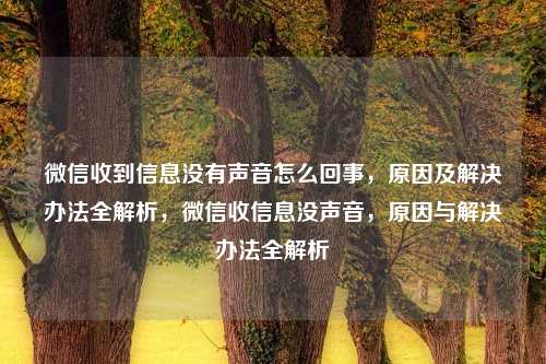 微信收到信息没有声音怎么回事，原因及解决办法全解析，微信收信息没声音，原因与解决办法全解析
