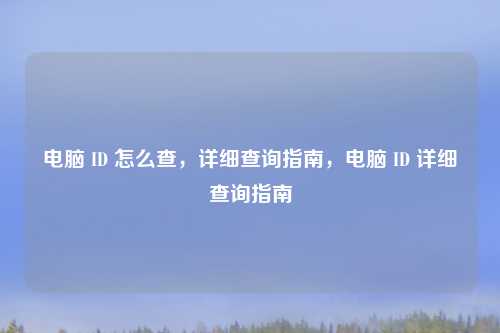 电脑 ID 怎么查，详细查询指南，电脑 ID 详细查询指南