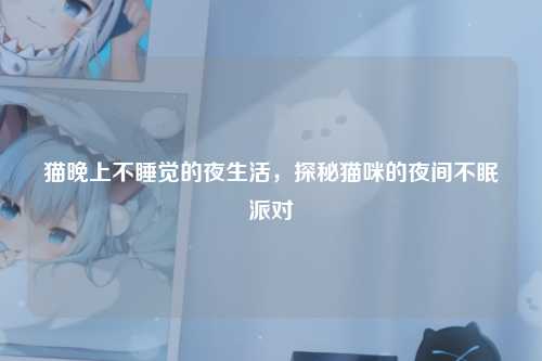 猫晚上不睡觉的夜生活，探秘猫咪的夜间不眠派对