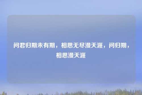 问君归期未有期，相思无尽漫天涯，问归期，相思漫天涯