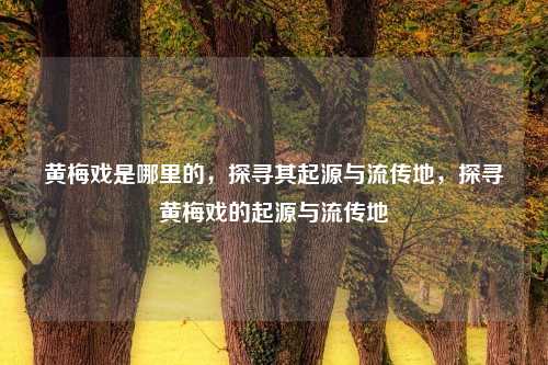 黄梅戏是哪里的，探寻其起源与流传地，探寻黄梅戏的起源与流传地
