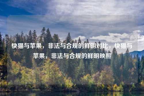 快猫与苹果，非法与合规的鲜明对比，快猫与苹果，非法与合规的鲜明映照