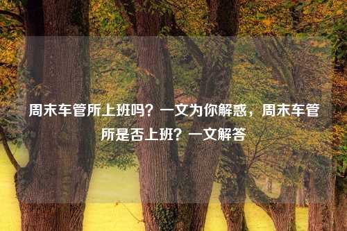 周末车管所上班吗？一文为你解惑，周末车管所是否上班？一文解答