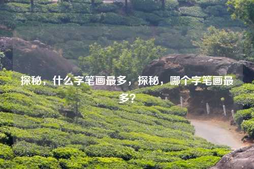 探秘，什么字笔画最多，探秘，哪个字笔画最多？