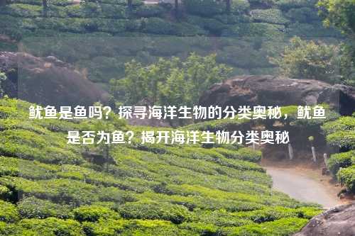 鱿鱼是鱼吗？探寻海洋生物的分类奥秘，鱿鱼是否为鱼？揭开海洋生物分类奥秘