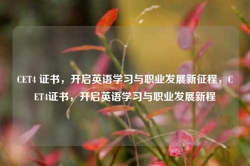 CET4 证书，开启英语学习与职业发展新征程，CET4证书，开启英语学习与职业发展新程