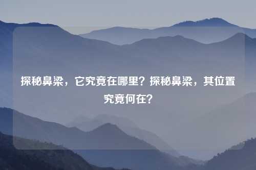 探秘鼻梁，它究竟在哪里？探秘鼻梁，其位置究竟何在？