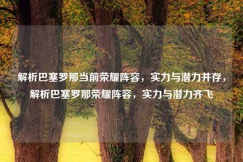 解析巴塞罗那当前荣耀阵容，实力与潜力并存，解析巴塞罗那荣耀阵容，实力与潜力齐飞