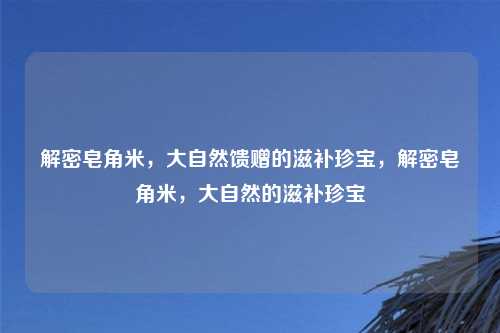 解密皂角米，大自然馈赠的滋补珍宝，解密皂角米，大自然的滋补珍宝