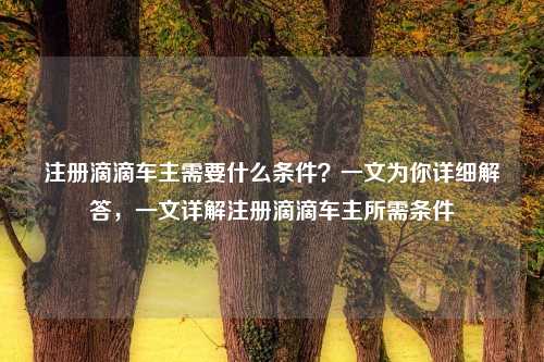 注册滴滴车主需要什么条件？一文为你详细解答，一文详解注册滴滴车主所需条件