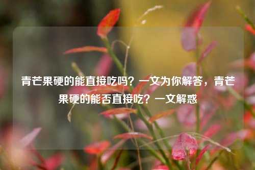 青芒果硬的能直接吃吗？一文为你解答，青芒果硬的能否直接吃？一文解惑