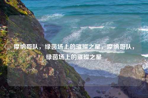 摩纳哥队，绿茵场上的璀璨之星，摩纳哥队，绿茵场上的璀璨之星
