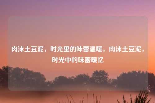 肉沫土豆泥，时光里的味蕾温暖，肉沫土豆泥，时光中的味蕾暖忆