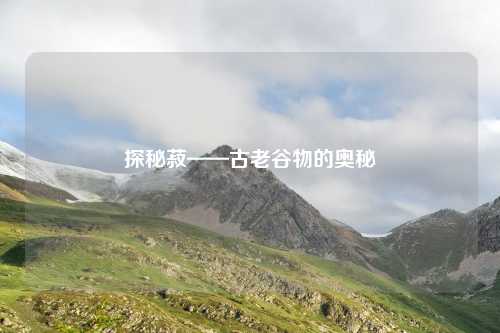 探秘菽——古老谷物的奥秘