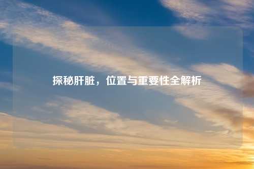 探秘肝脏，位置与重要性全解析