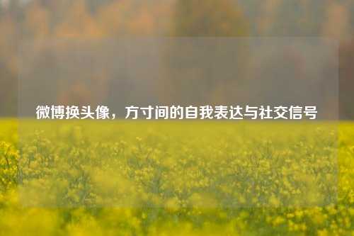 微博换头像，方寸间的自我表达与社交信号