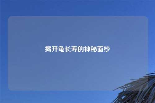 揭开龟长寿的神秘面纱