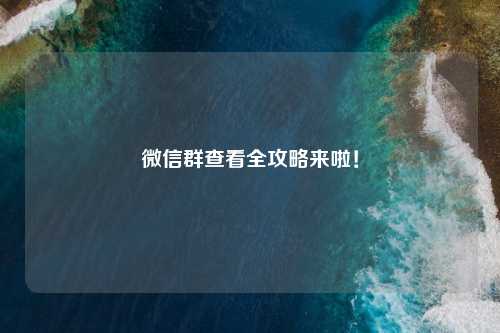 微信群查看全攻略来啦！