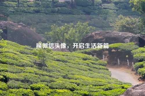 换微信头像，开启生活新篇