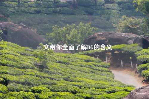 一文带你全面了解DG的含义