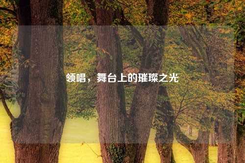 领唱，舞台上的璀璨之光