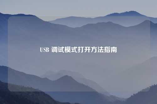 USB 调试模式打开方法指南