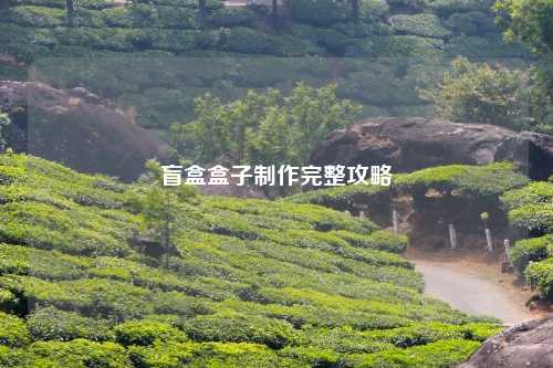 盲盒盒子制作完整攻略