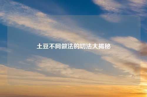 土豆不同做法的切法大揭秘