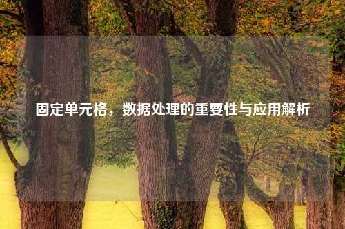 固定单元格，数据处理的重要性与应用解析