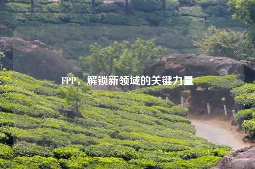 FPP，解锁新领域的关键力量