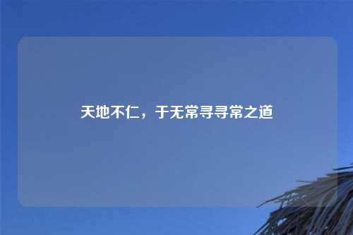 天地不仁，于无常寻寻常之道