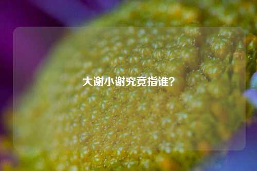 大谢小谢究竟指谁？