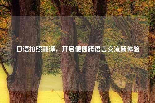 日语拍照翻译，开启便捷跨语言交流新体验