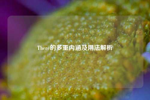 There的多重内涵及用法解析