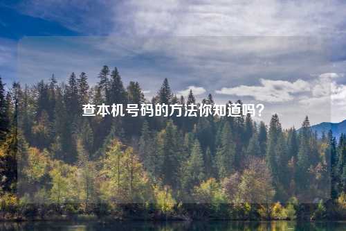 查本机号码的方法你知道吗？