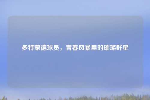 多特蒙德球员，青春风暴里的璀璨群星