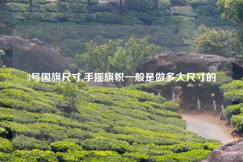 3号国旗尺寸,手摇旗帜一般是做多大尺寸的