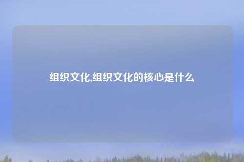 组织文化,组织文化的核心是什么